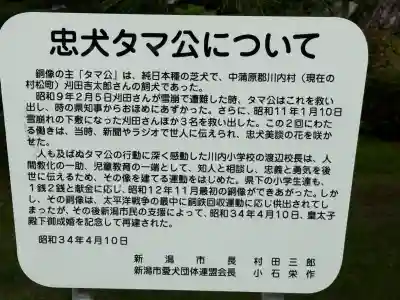 白山神社(新潟県)