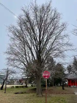 陸奥国分寺 準胝観音堂(宮城県)