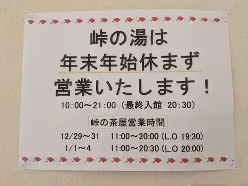 水澤寺(水澤観世音)(群馬県)