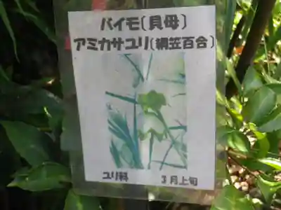 光則寺のその他建物