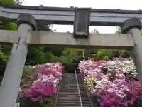 八幡神社(福井県)