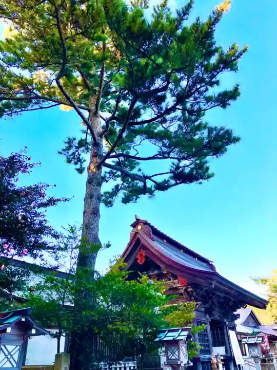 大洗磯前神社(茨城県)