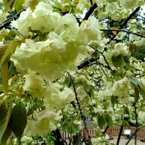 上地八幡宮(愛知県)