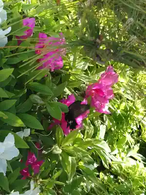 玉祖神社(山口県)
