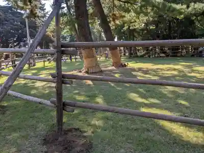 高取神明宮(愛知県)