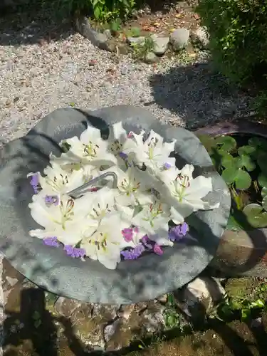 常覺寺の手水舎