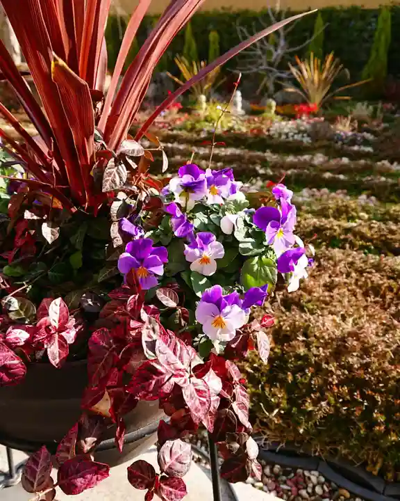 寿量山 速成寺の自然
