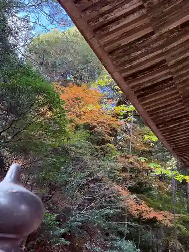 明通寺(福井県)