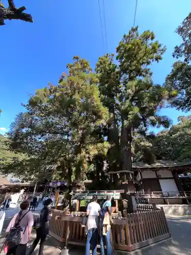 大神神社の自然