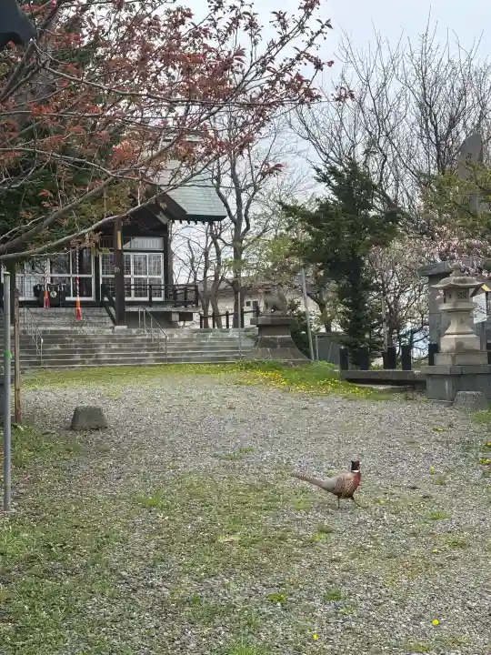 豊足神社の{uncategorized: "未分類", other: "その他", undefined: "問題あり", building: "その他建物", grave: "お墓", sacred_gate: "鳥居", guardian: "狛犬", statue: "像", buddha: "仏像", history: "歴史", nature: "自然", garden: "庭園", animal: "動物", pagoda: "塔", temizu: "手水舎", mountain_gate: "山門・神門", sanctuary: "本殿・本堂", subordinate: "末社・摂社", art: "芸術", scenery: "景色", jizo: "地蔵", ema: "絵馬", goshuin: "御朱印", omikuji: "おみくじ", items: "授与品その他", amulet: "お守り", goshuincho: "御朱印帳", eats: "食事", festival: "お祭り", votive_dance: "神楽", shichigosan: "七五三参", wedding: "結婚式", experience: "体験その他", initially: "初詣", around: "周辺", anti_infection: "感染症対策"}