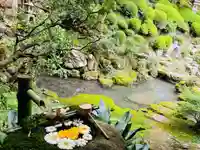 柳谷観音 楊谷寺(京都府)
