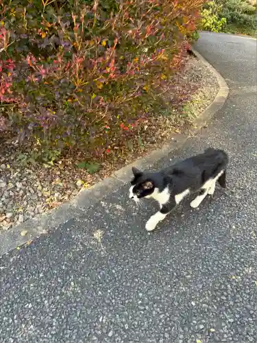 白金氷川神社(東京都)
