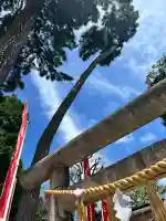 鷺宮八幡神社(東京都)