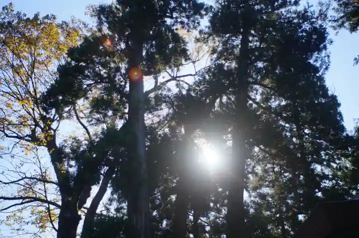 白山比咩神社(石川県)