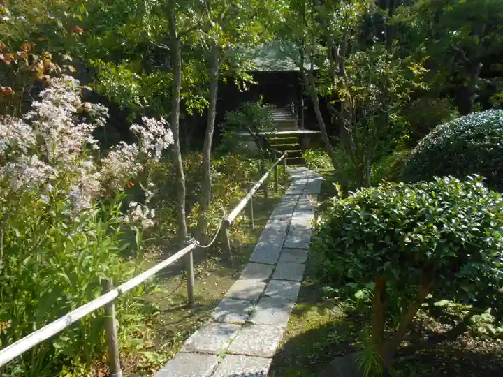 龍寳寺(龍宝寺)の庭園