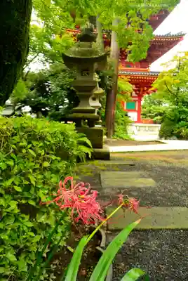 高幡不動尊　金剛寺(東京都)