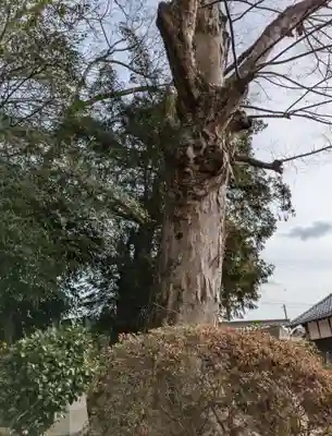 神戸神社(三重県)
