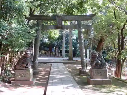 渋谷氷川神社の鳥居