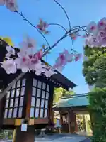 東京大神宮(東京都)