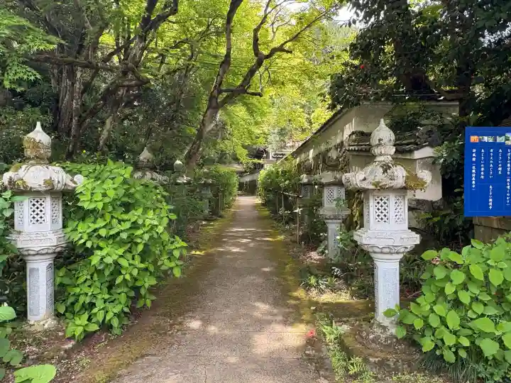 観音寺の{uncategorized: "未分類", other: "その他", undefined: "問題あり", building: "その他建物", grave: "お墓", sacred_gate: "鳥居", guardian: "狛犬", statue: "像", buddha: "仏像", history: "歴史", nature: "自然", garden: "庭園", animal: "動物", pagoda: "塔", temizu: "手水舎", mountain_gate: "山門・神門", sanctuary: "本殿・本堂", subordinate: "末社・摂社", art: "芸術", scenery: "景色", jizo: "地蔵", ema: "絵馬", goshuin: "御朱印", omikuji: "おみくじ", items: "授与品その他", amulet: "お守り", goshuincho: "御朱印帳", eats: "食事", festival: "お祭り", votive_dance: "神楽", shichigosan: "七五三参", wedding: "結婚式", experience: "体験その他", initially: "初詣", around: "周辺", anti_infection: "感染症対策"}