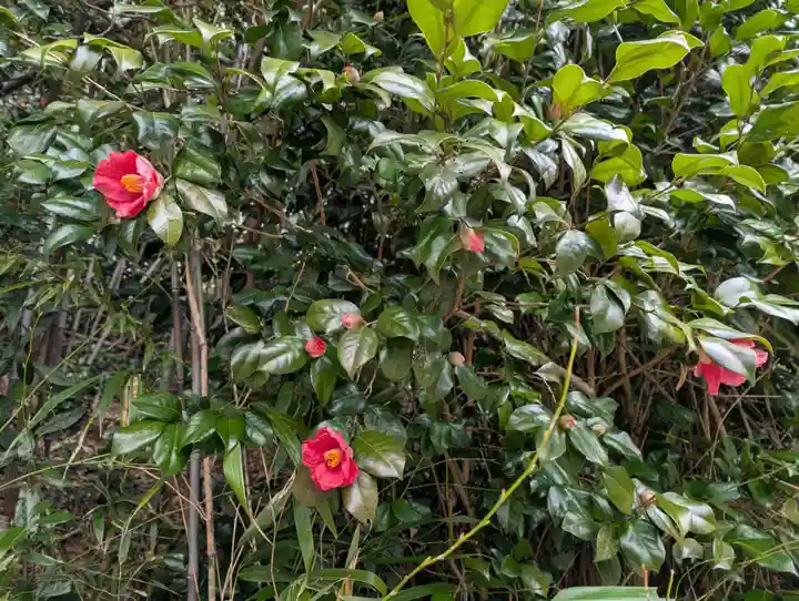 日枝神社(福島県)