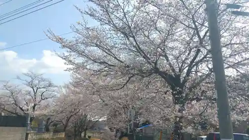 一言主神社(茨城県)
