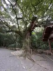 月夜見宮（豊受大神宮別宮）(三重県)