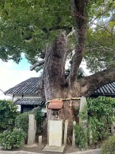善光寺(大阪府)