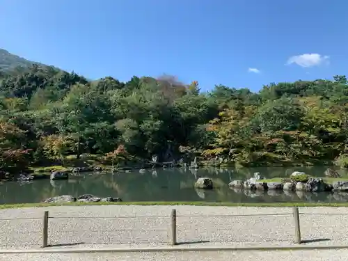 天龍寺の庭園