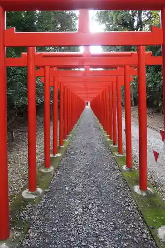 美濃國一宮　南宮大社(岐阜県)
