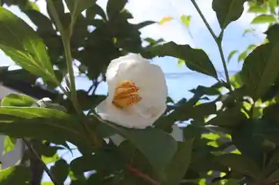 慈眼院(滋賀県)