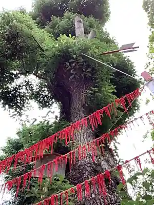 三輪神社のその他建物