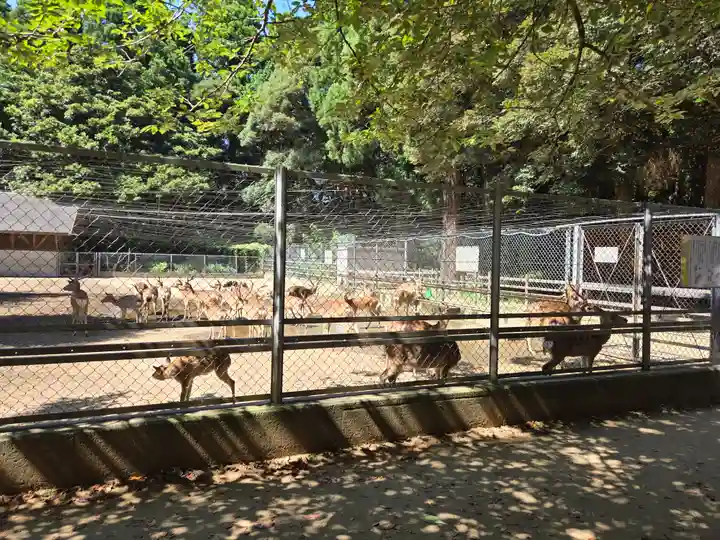 鹿島神宮(茨城県)
