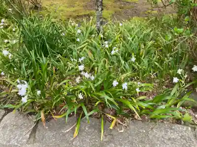 妙本寺(神奈川県)