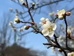 善光寺(長野県)