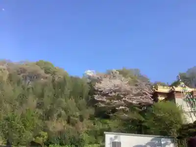 倶利加羅不動寺(愛知県)