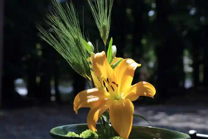 滑川神社 - 仕事と子どもの守り神の手水舎