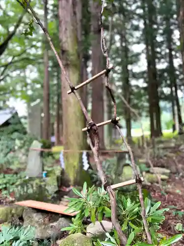 山家神社の自然