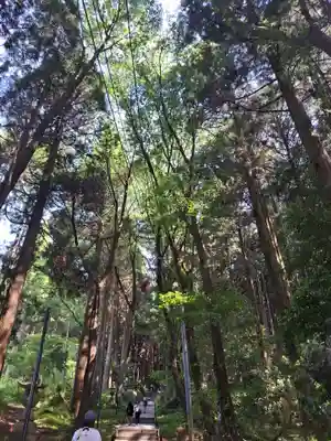 上色見熊野座神社(熊本県)