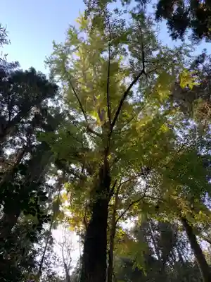 妙見神社の自然