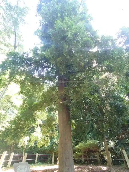 無量光寺(神奈川県)