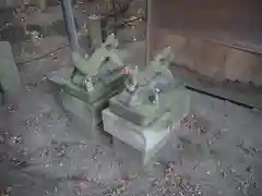 仲町氷川神社の狛犬