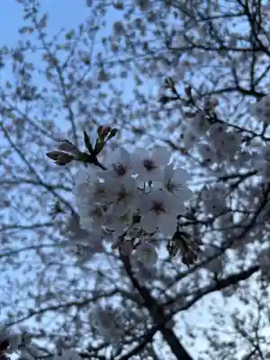 二兒神社(福岡県)