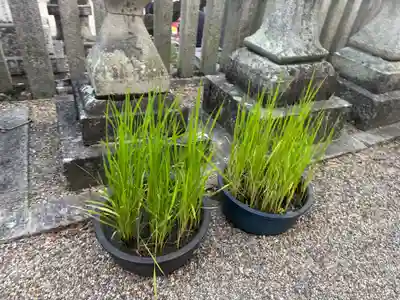 機物神社(大阪府)