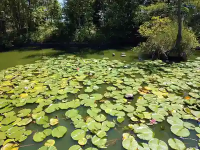 法起寺(奈良県)