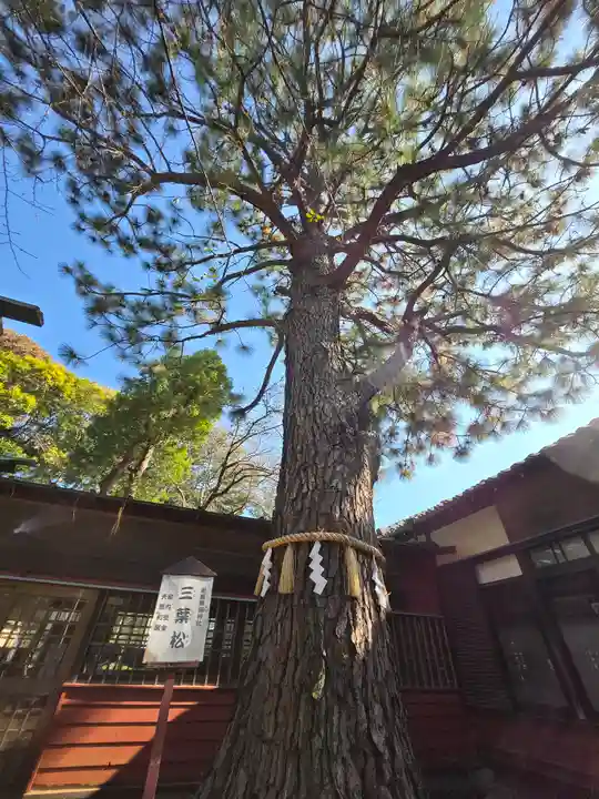 前原御嶽神社(千葉県)