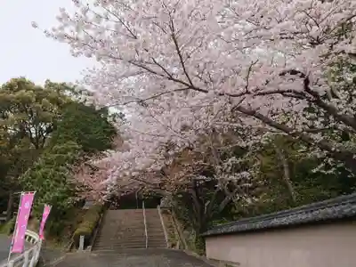形原神社の自然