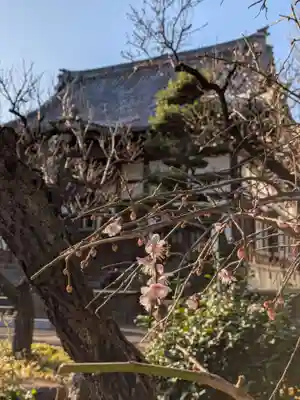 瑞円寺(東京都)
