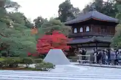 慈照寺（慈照禅寺・銀閣寺）(京都府)