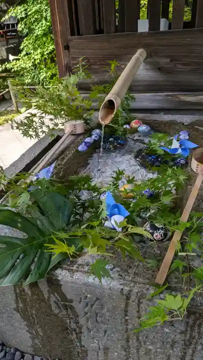 勝林寺(京都府)